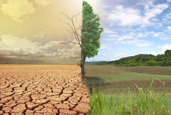گزینه‌ای جز مدیریت بهتر منابع نداریم/لزوم افزایش کارایی
