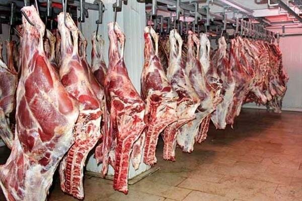 ۳۰.۹ هزار تن گوشت قرمز تولید شد