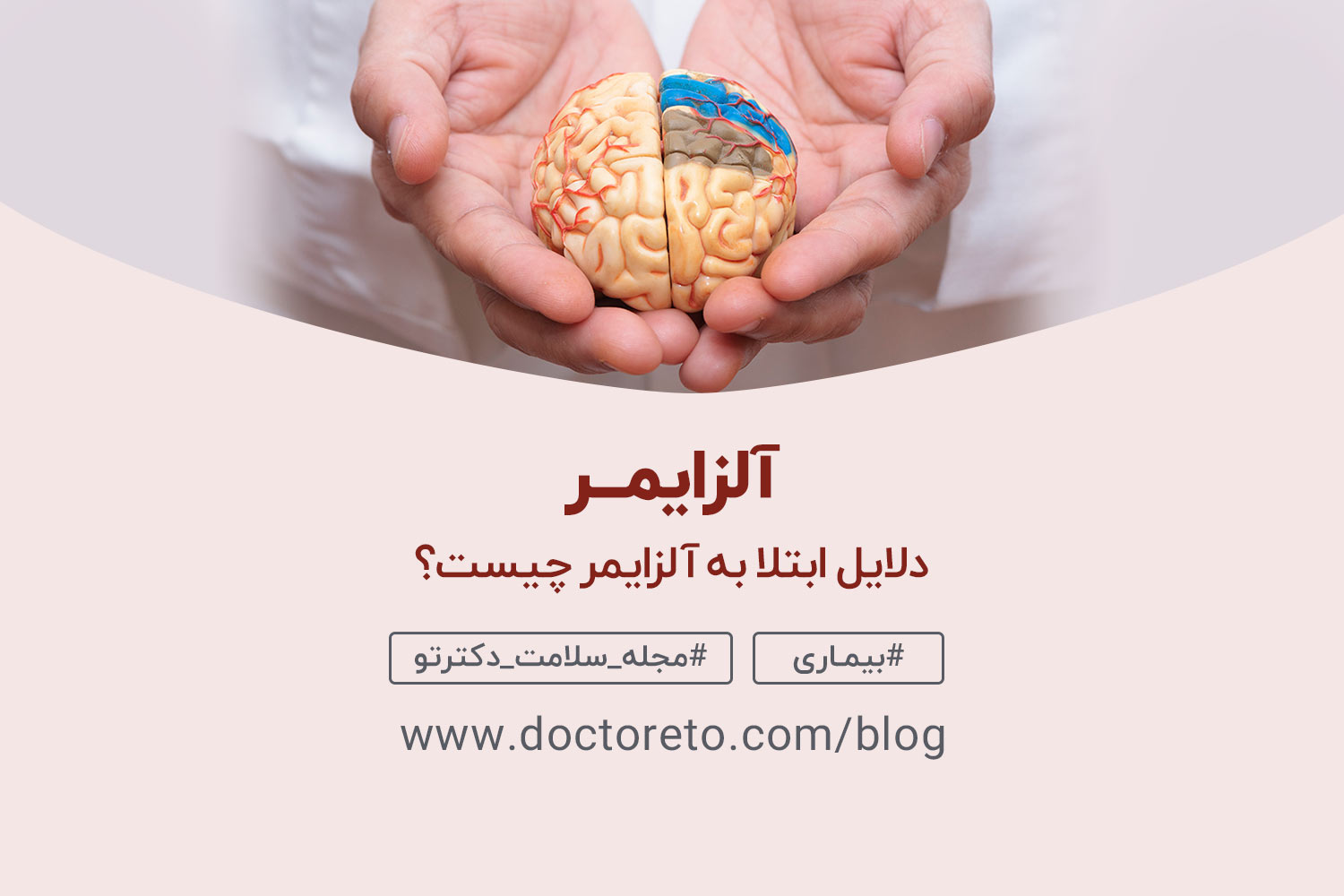 با کاهش مصرف قند و شکر از آلزایمر جلوگیری کنید