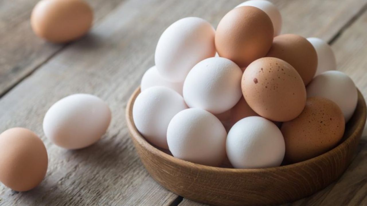 چرا تولید تخم‌مرغ کاهش یافت؟