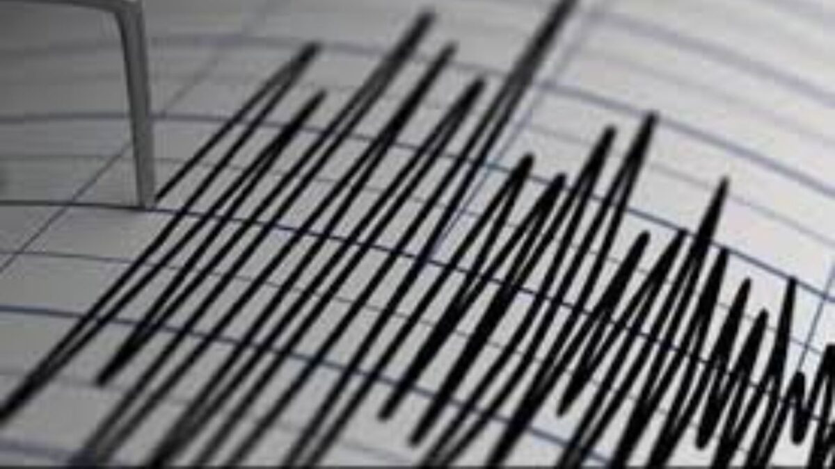تاب‌آوری نهادهای مسئول بحران زلزله ۹ درصد است