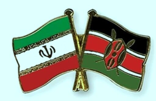 دانش‌بنیان‌های ایرانی با هیات کنیایی تعامل می‌کنند