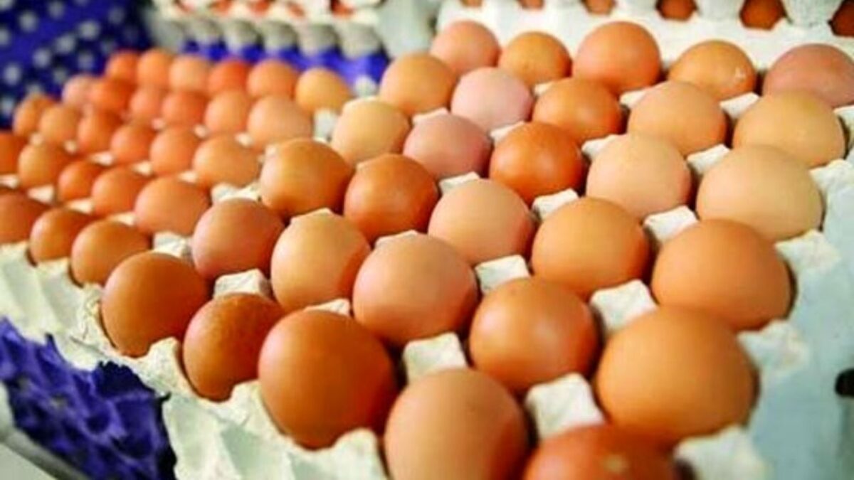 صادرات ۶۰ هزار تن تخم‌مرغ در نیمه اول امسال