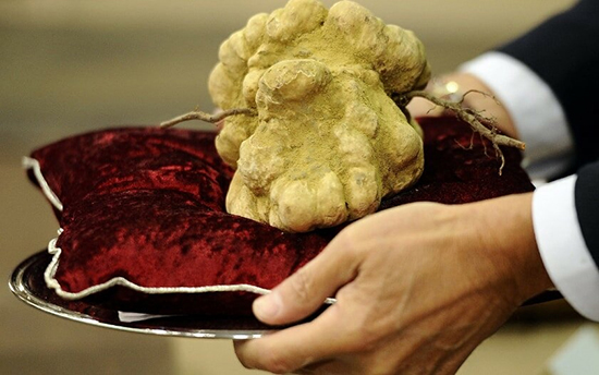 گرانترین غذاهای دنیا