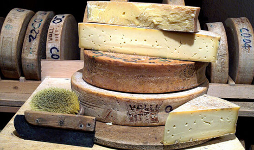 مشهورترین پنیر‌های دنیا؛ از پنیر الاغ تا پنیر گوزن