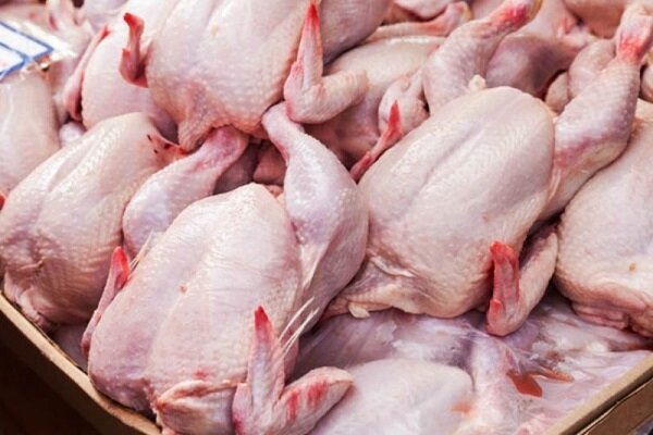 ۷ هزار و ۱۴۲ تن گوشت مرغ در بازار عرضه شد